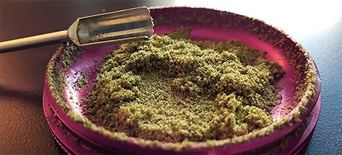 Top Quality Kief Cannabis Farm Thailand