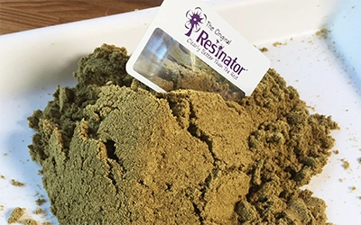 Wholesale Kief Cannabis Farm Thailand