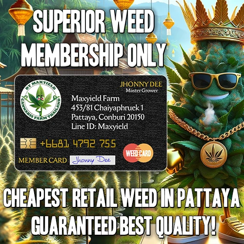 Cannabis Farm Thailand Member card