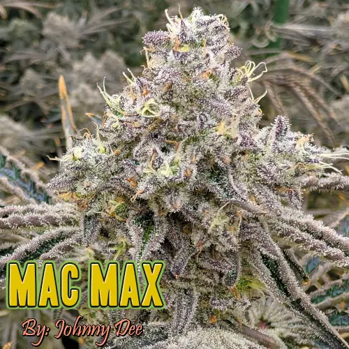 Mac Max Strain Image