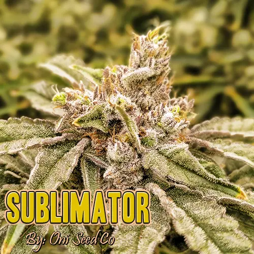 Sublimator Strain Image