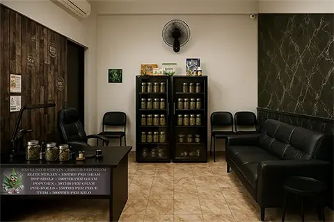 Office Cannabis Farm Thailand
