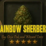 RS11 Rainbow Sherbert Strain Review