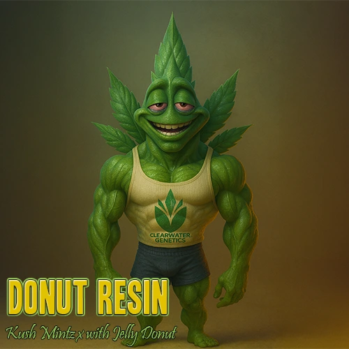 Donut Resin by Clearwater Logo